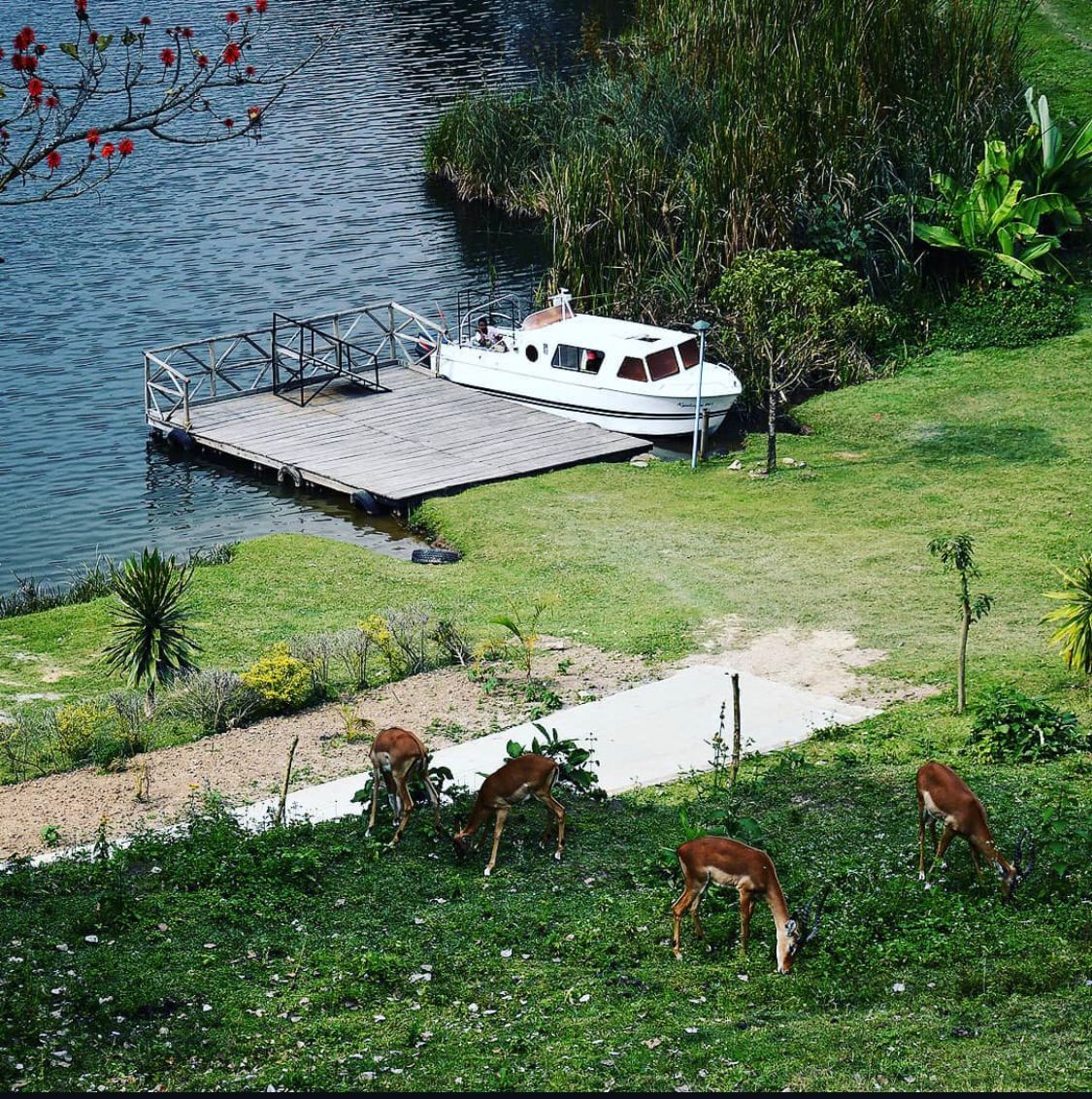 Lake Bunyonyi Resort